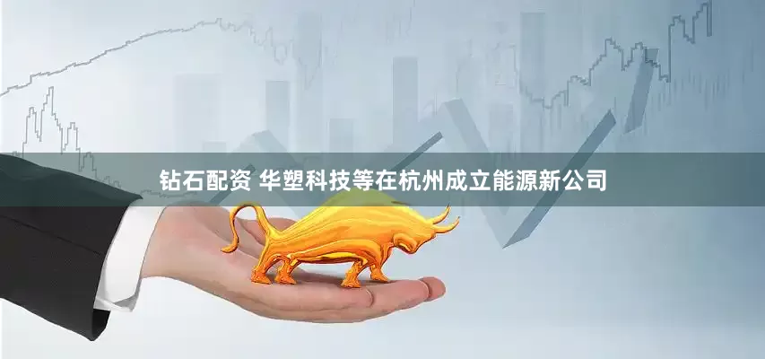 钻石配资 华塑科技等在杭州成立能源新公司